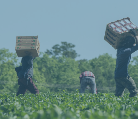 Farmworker Health and Justice